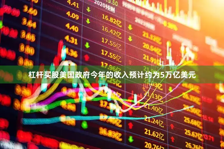 杠杆买股美国政府今年的收入预计约为5万亿美元