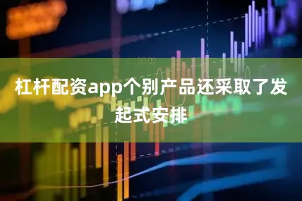 杠杆配资app个别产品还采取了发起式安排