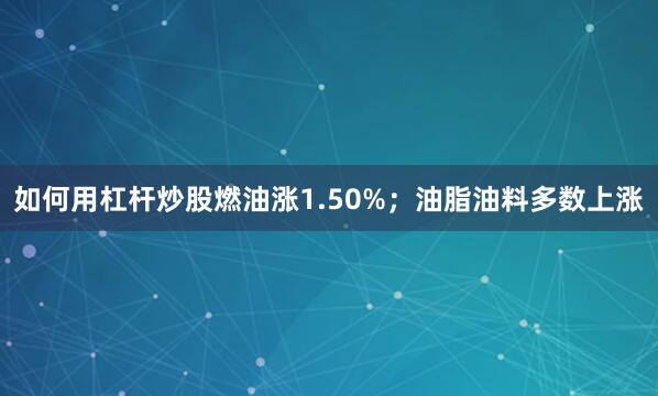 如何用杠杆炒股燃油涨1.50%；油脂油料多数上涨