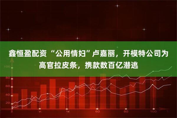 鑫恒盈配资 “公用情妇”卢嘉丽，开模特公司为高官拉皮条，携款数百亿潜逃