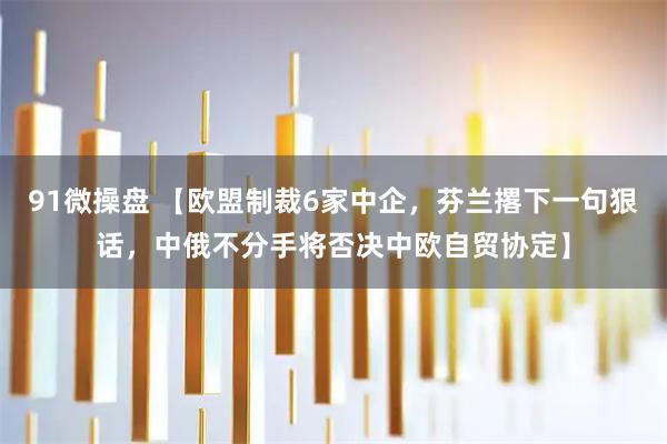 91微操盘 【欧盟制裁6家中企，芬兰撂下一句狠话，中俄不分手将否决中欧自贸协定】
