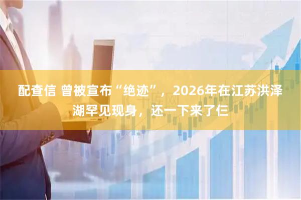 配查信 曾被宣布“绝迹”，2026年在江苏洪泽湖罕见现身，还一下来了仨