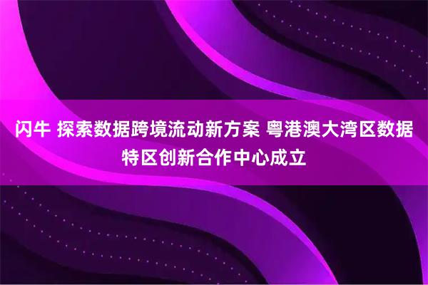 闪牛 探索数据跨境流动新方案 粤港澳大湾区数据特区创新合作中心成立