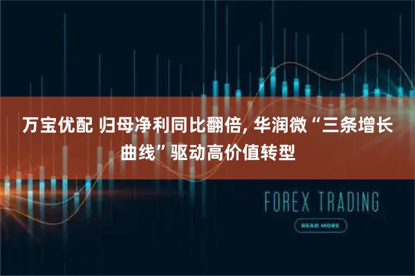 万宝优配 归母净利同比翻倍, 华润微“三条增长曲线”驱动高价值转型